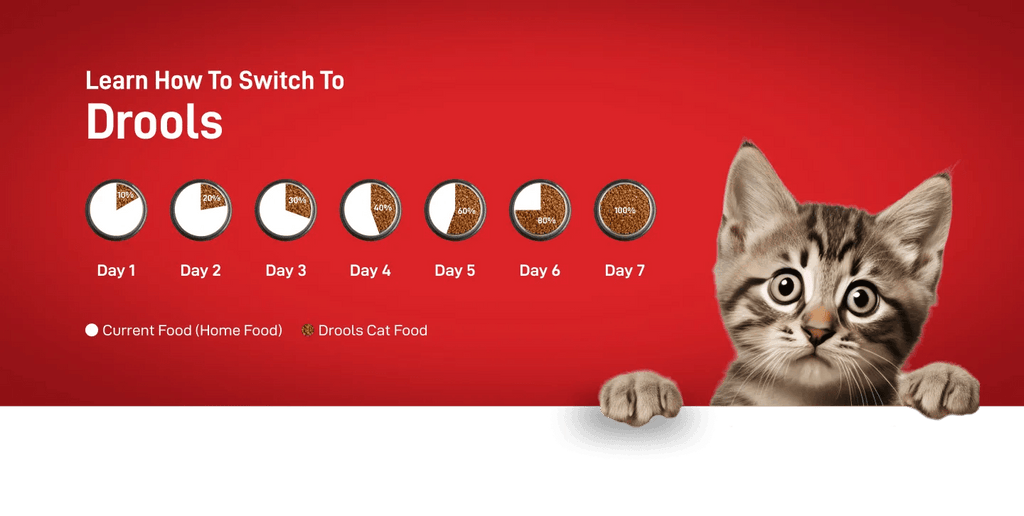 Drools Kitten(1-12 Months) Dry Cat Food, Real Chicken Flavour 3 Kg - Pet Supermarket