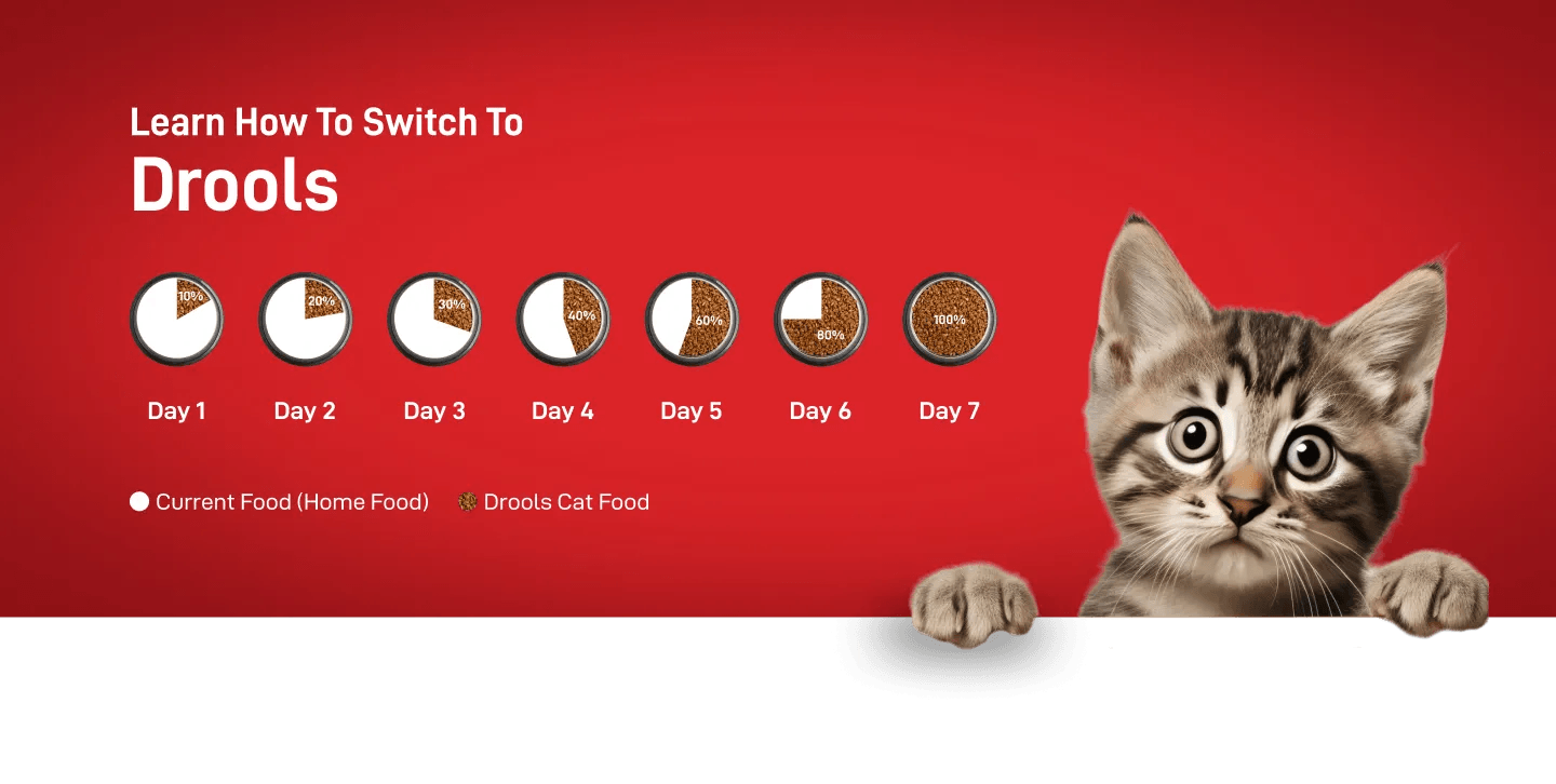 Drools Kitten(1-12 Months) Dry Cat Food, Real Chicken Flavour 3 Kg - Pet Supermarket