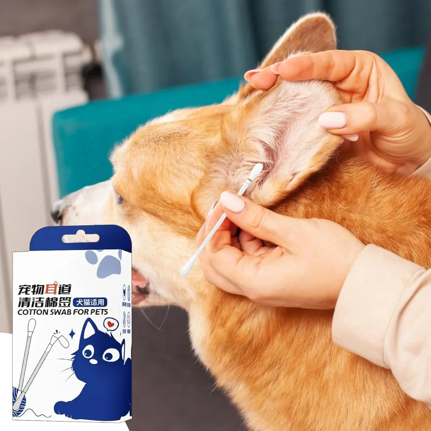 Ear Q Tips 50pcs Box pet ear cleaning special pet cotton swab to clean ear mites, Cat Ear Swabs Absorbent Q Ear - Pet Supermarket