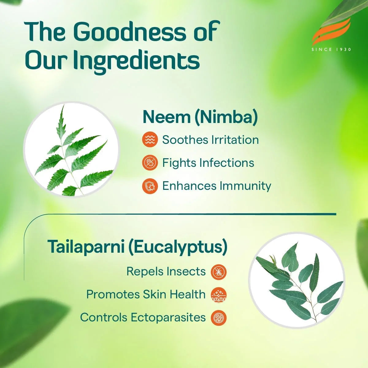 Himalaya Erina-EP Tick and Flea Shampoo for Dogs and Cats 450ml - Pet Supermarket