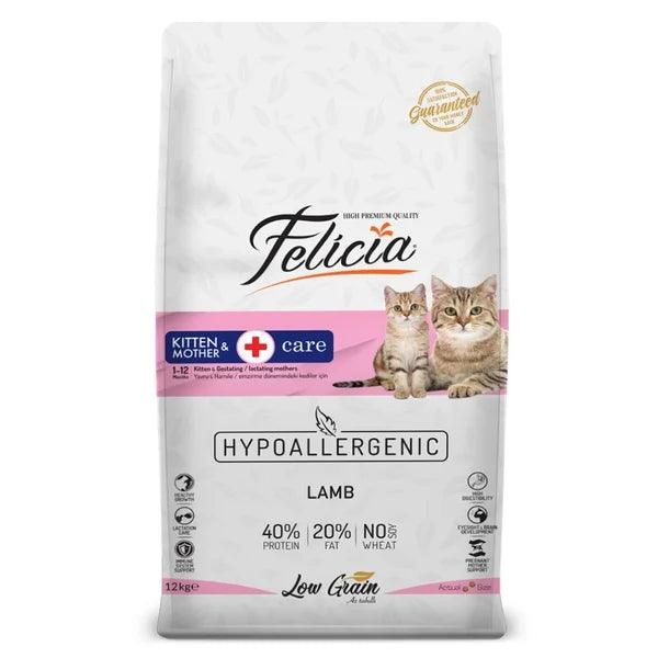 felicia-kitten-mother-2kg