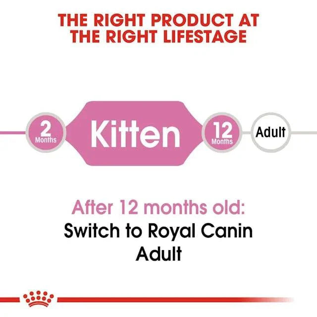 Royal Canin Kitten Cat Food Babycat 400g