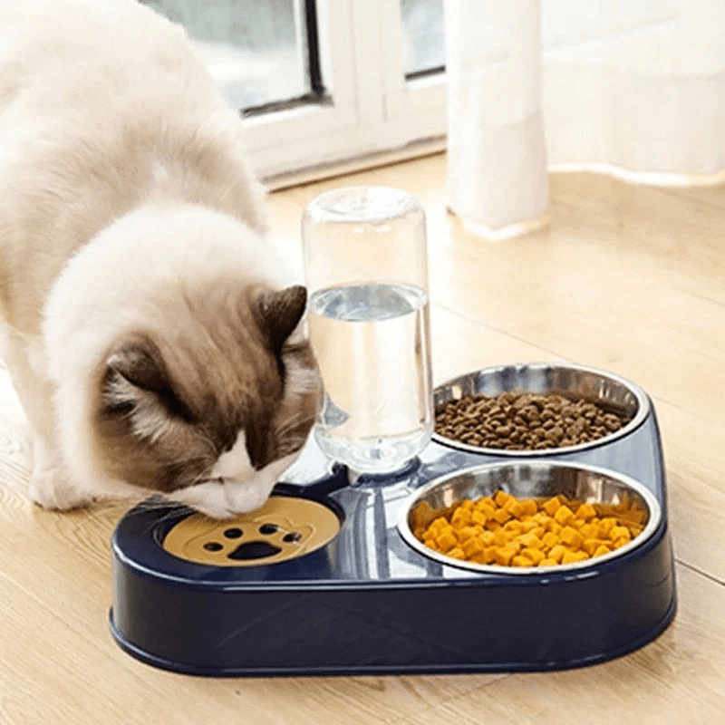 3 in 1 Double Cat Bowls,Stainless Steel Cat Food Bowl with Stand,Cat Feeding Bowl,Detachable Pet Food Bowl for Cats and Dogs,Automatic Water Storage Water Bowl