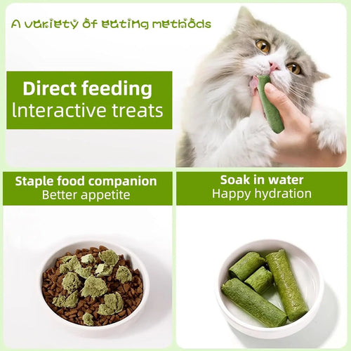 16pcs Cat Grass Teething Stick Jar set with Chicken Flavor, Cat Kittens Hairball Removal, Natural Dried Cat Grass for Cat Dental Care  (120g) - Pet Supermarket