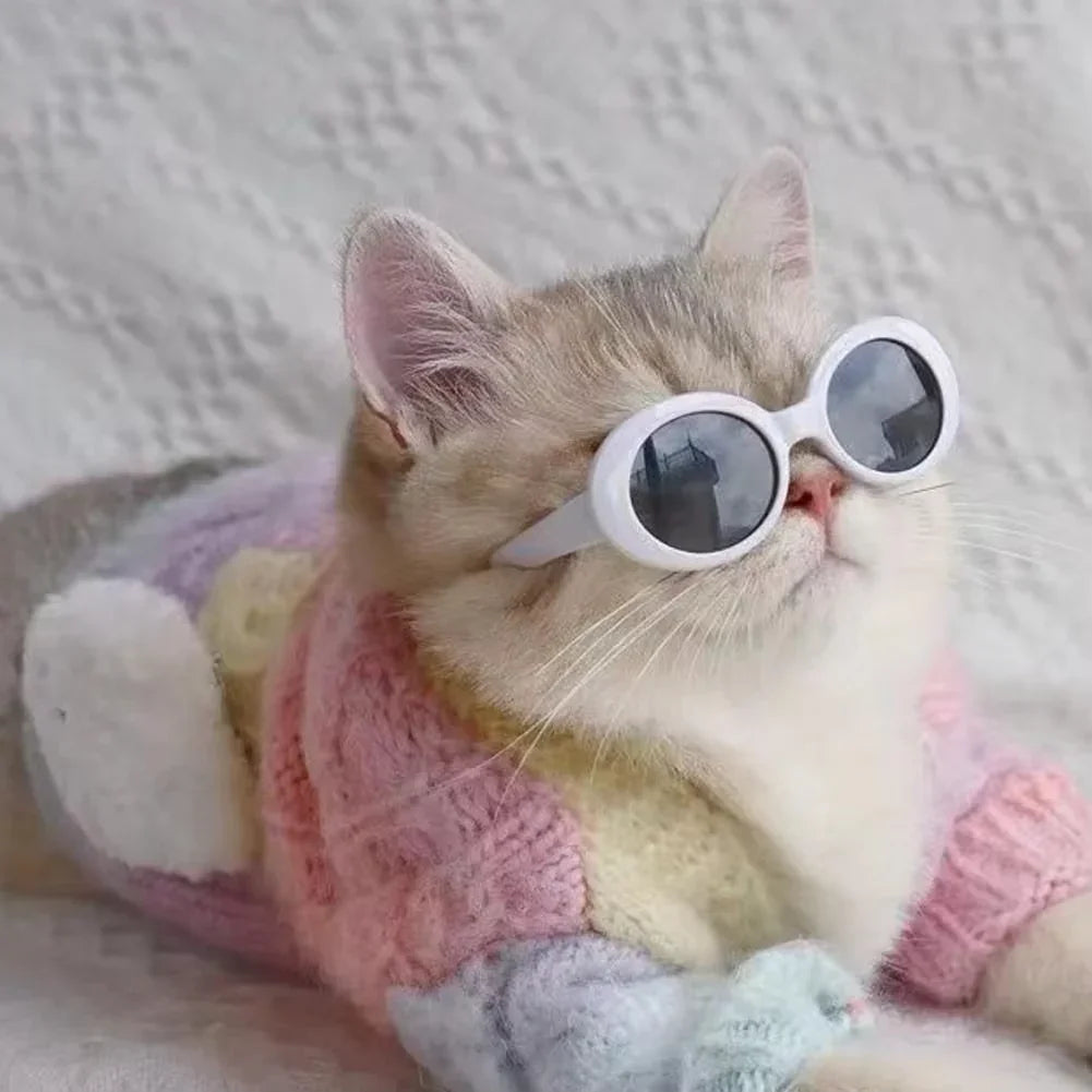 Fashionable Cat Eye Round Sunglasses For Photography And Outdoor Activities, Uv400 Protection, Random Colors - Pet Supermarket