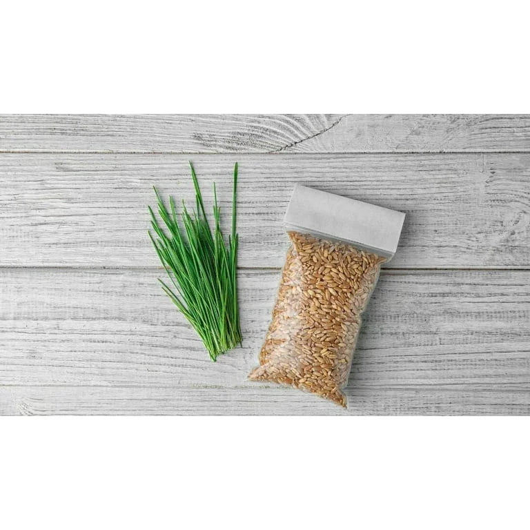 Raw Earth Colors Cat Grass Seeds