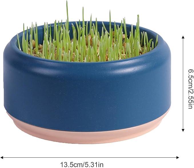 Hydroponic Cat Grass Planter Kit, Pet Cat Grass Growing Planter Box Cat Grass Sprouter, Soilless Culture Cat Grass Cup, Cat Grass Seed Sprout Trays, Easy to Plant
