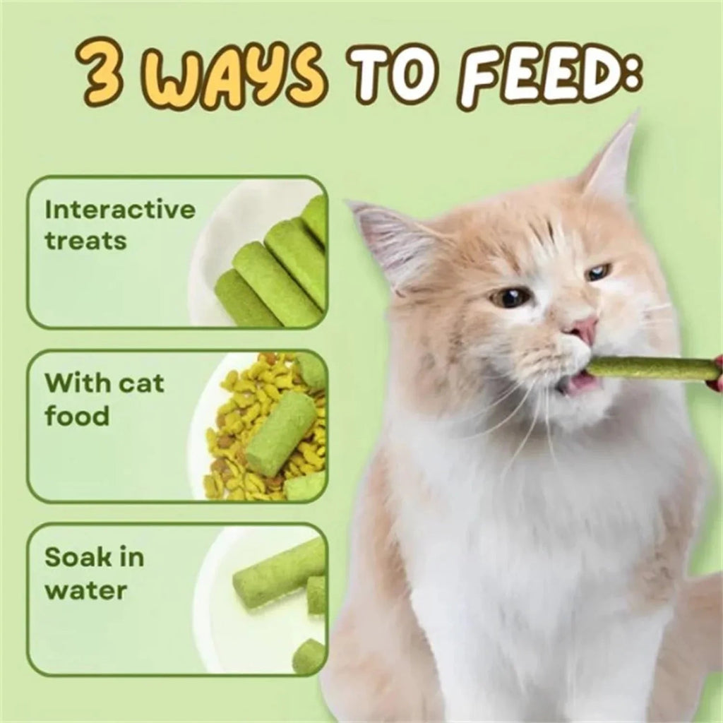 16pcs Cat Grass Teething Stick Jar set with Chicken Flavor, Cat Kittens Hairball Removal, Natural Dried Cat Grass for Cat Dental Care  (120g) - Pet Supermarket