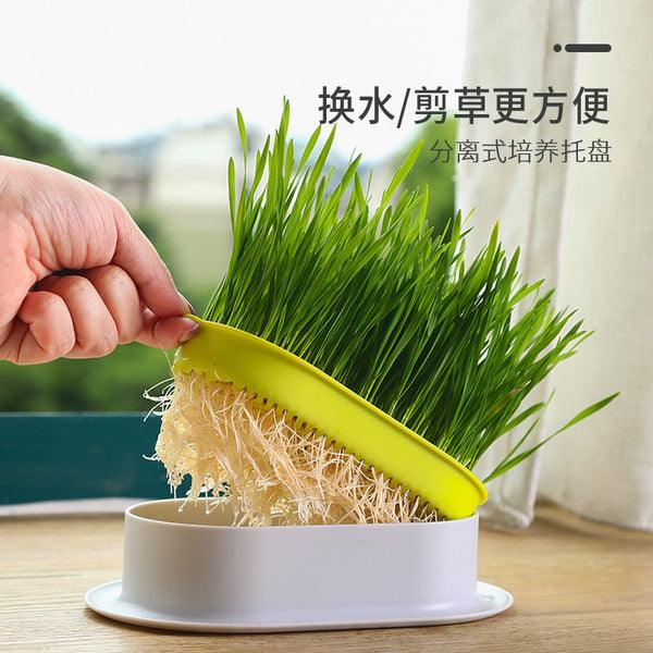 Hydroponic Grass Tray Cat Grass Germination Tray, Seed Tray Germination Tray, Seed Sprouter Tray, Planter Hydroponics Seed Sprouter, Soil-Free Seed Sprouter