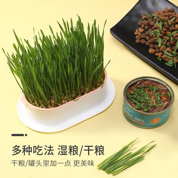 Hydroponic Grass Tray Cat Grass Germination Tray, Seed Tray Germination Tray, Seed Sprouter Tray, Planter Hydroponics Seed Sprouter, Soil-Free Seed Sprouter