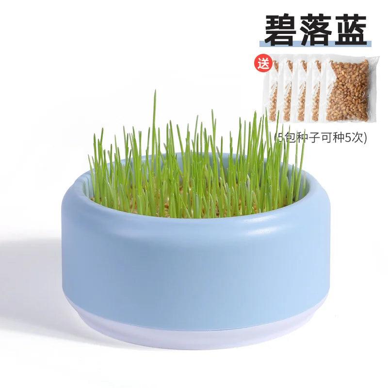Hydroponic Cat Grass Planter Kit, Pet Cat Grass Growing Planter Box Cat Grass Sprouter, Soilless Culture Cat Grass Cup, Cat Grass Seed Sprout Trays, Easy to Plant