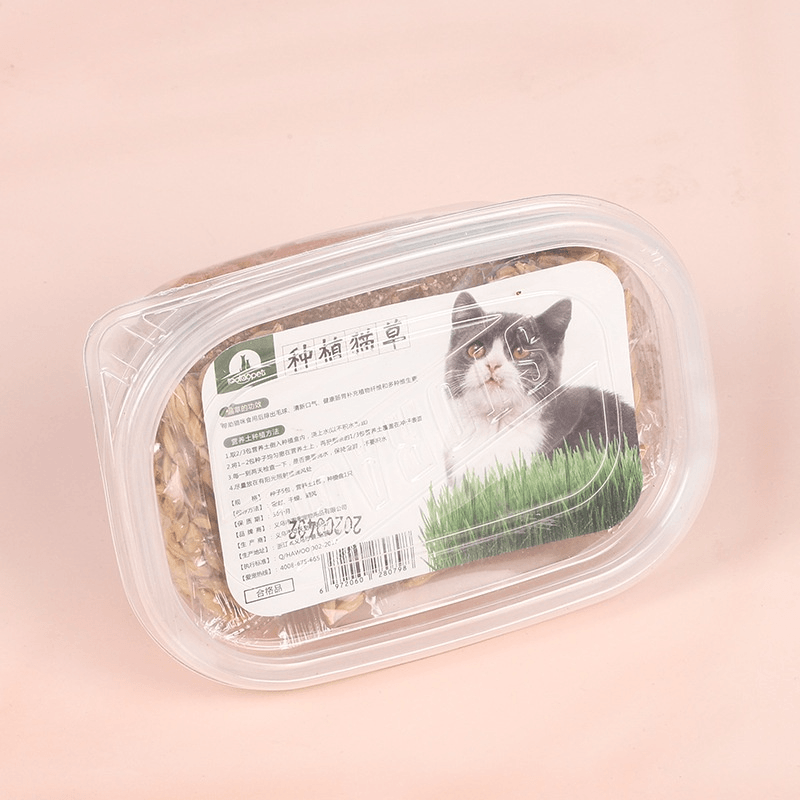Reusable Nutritional Cat Grass Kit with Plastic Box - Pet Supermarket