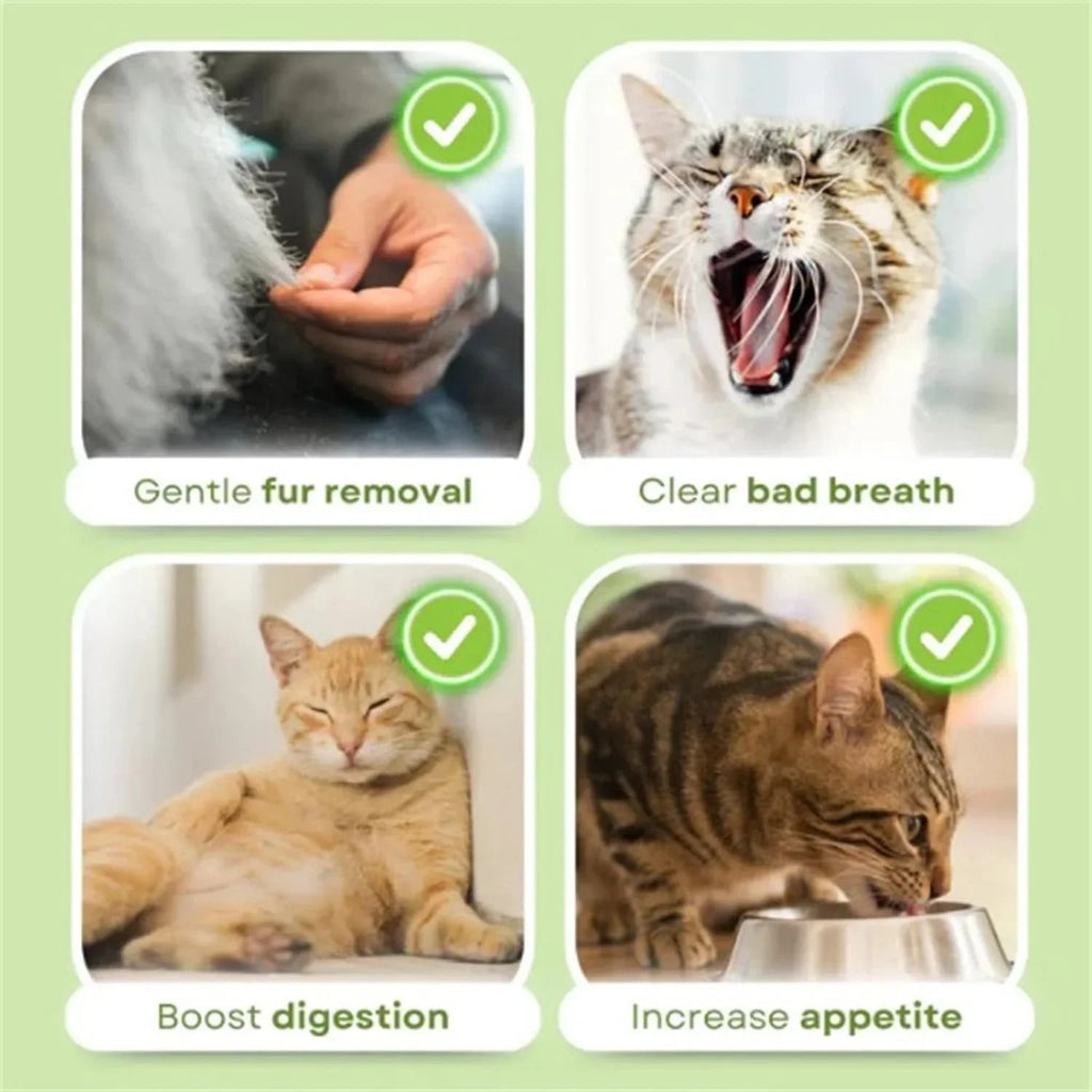 16pcs Cat Grass Teething Stick Jar set with Chicken Flavor, Cat Kittens Hairball Removal, Natural Dried Cat Grass for Cat Dental Care  (120g) - Pet Supermarket