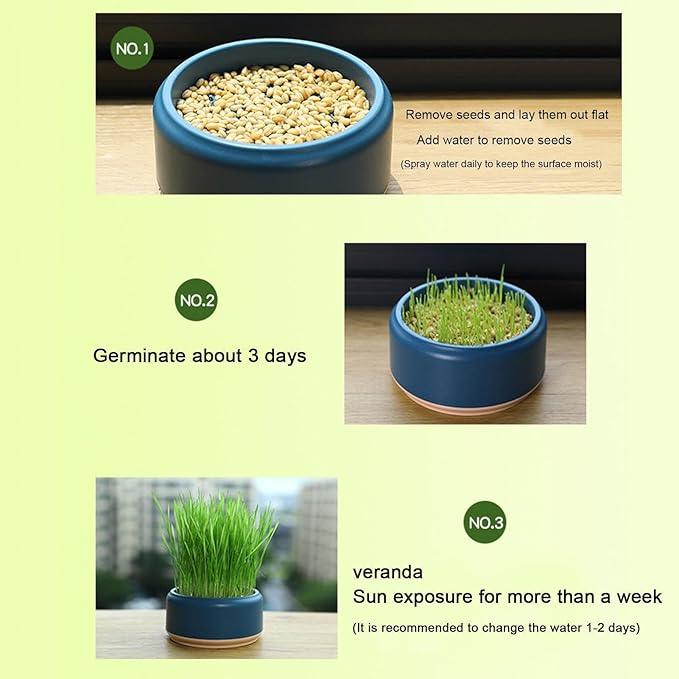 Hydroponic Cat Grass Planter Kit, Pet Cat Grass Growing Planter Box Cat Grass Sprouter, Soilless Culture Cat Grass Cup, Cat Grass Seed Sprout Trays, Easy to Plant