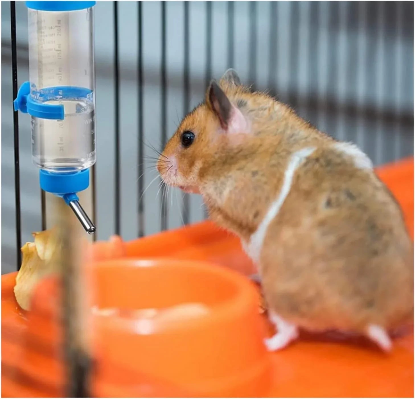 Hamster Drinker Plastic Water Bottle Dispenser Feeder HangingHamster Guinea Pig Squirrel Rabbit Drinking Head Pipe Fountain 125ml - Pet Supermarket