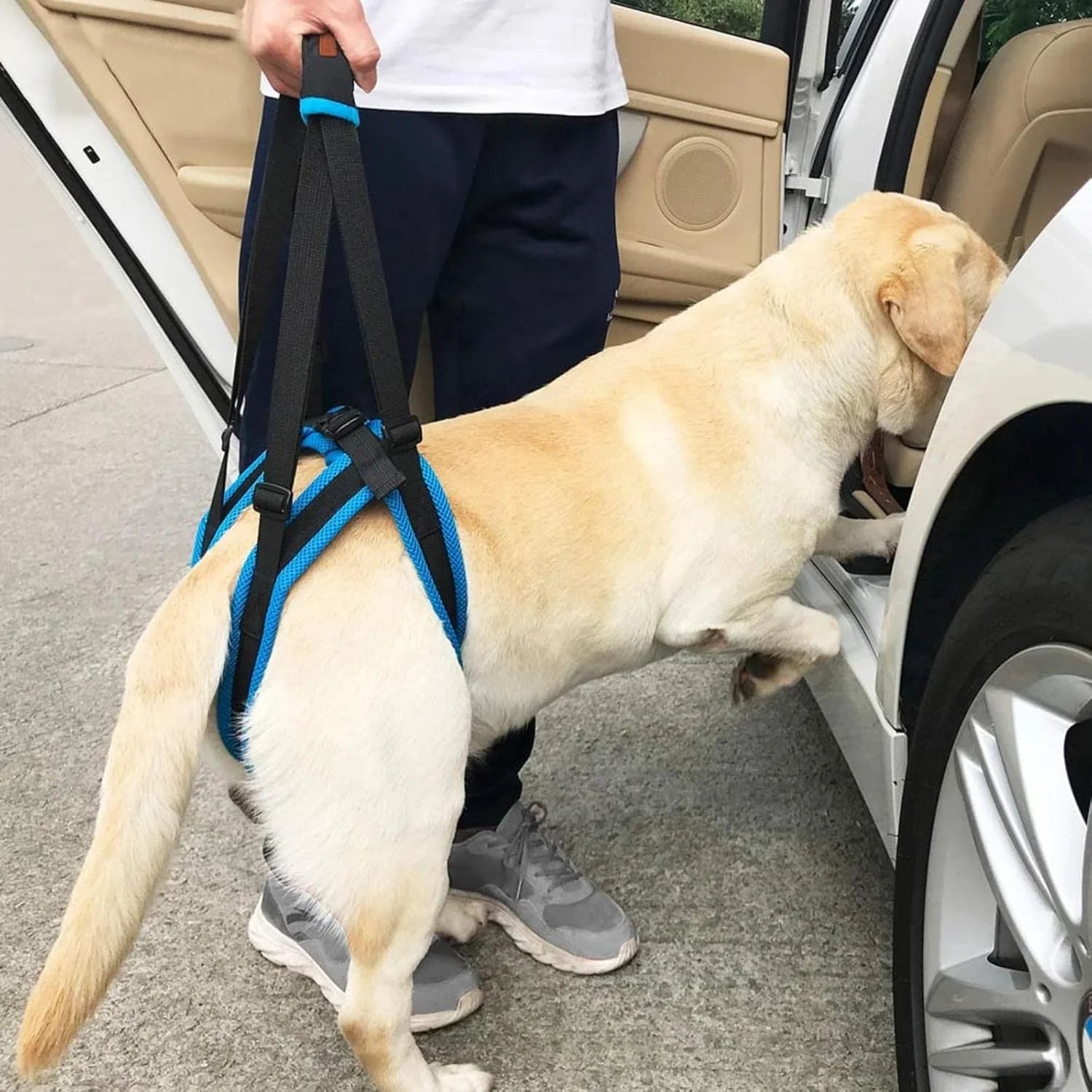 Adjustable Dog Lift Harness for Back Legs Pet Support Sling Help Weak Legs Stand Up Pet Dogs Aid Assist Tool - Pet Supermarket