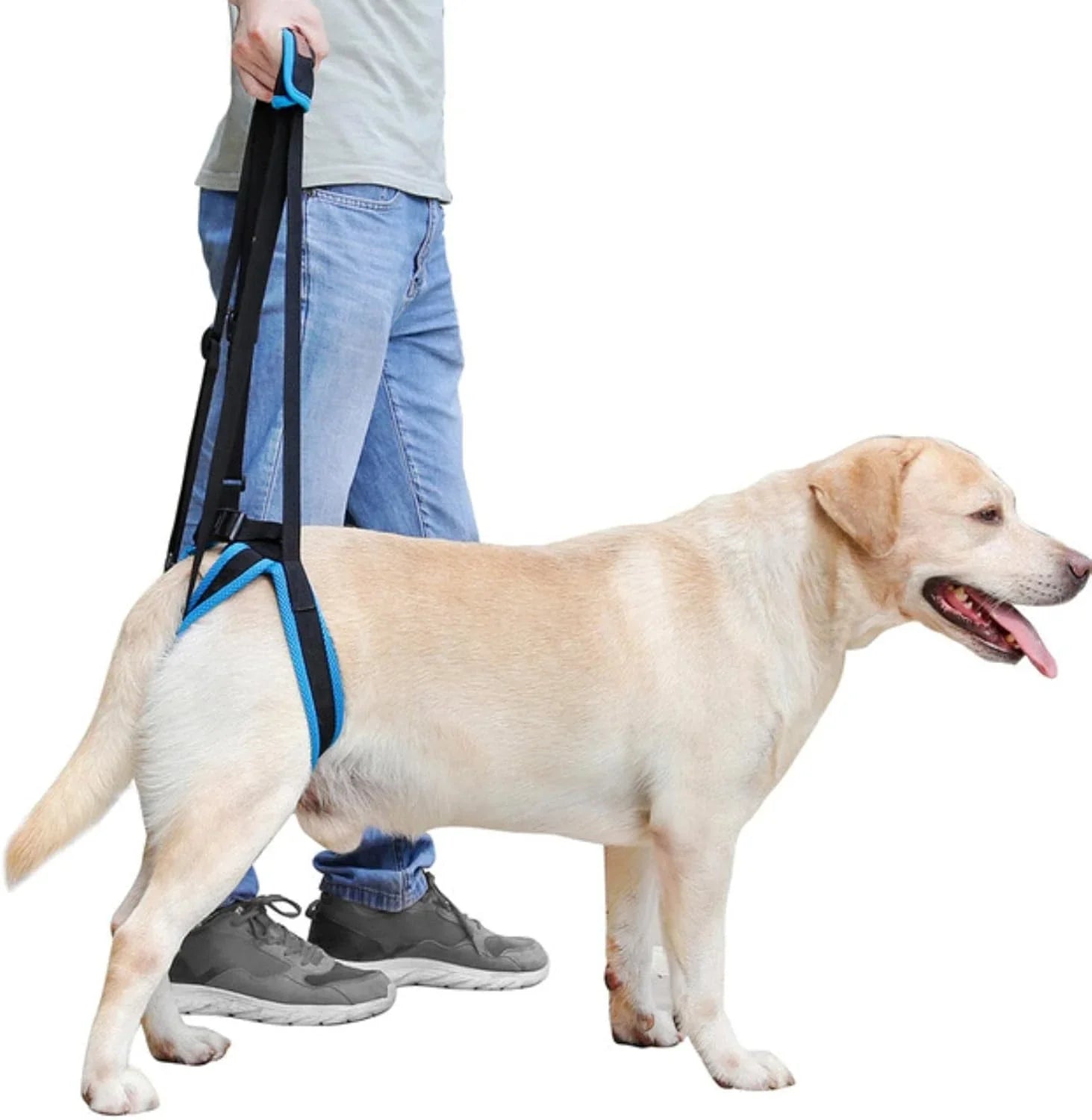 Adjustable Dog Lift Harness for Back Legs Pet Support Sling Help Weak Legs Stand Up Pet Dogs Aid Assist Tool - Pet Supermarket