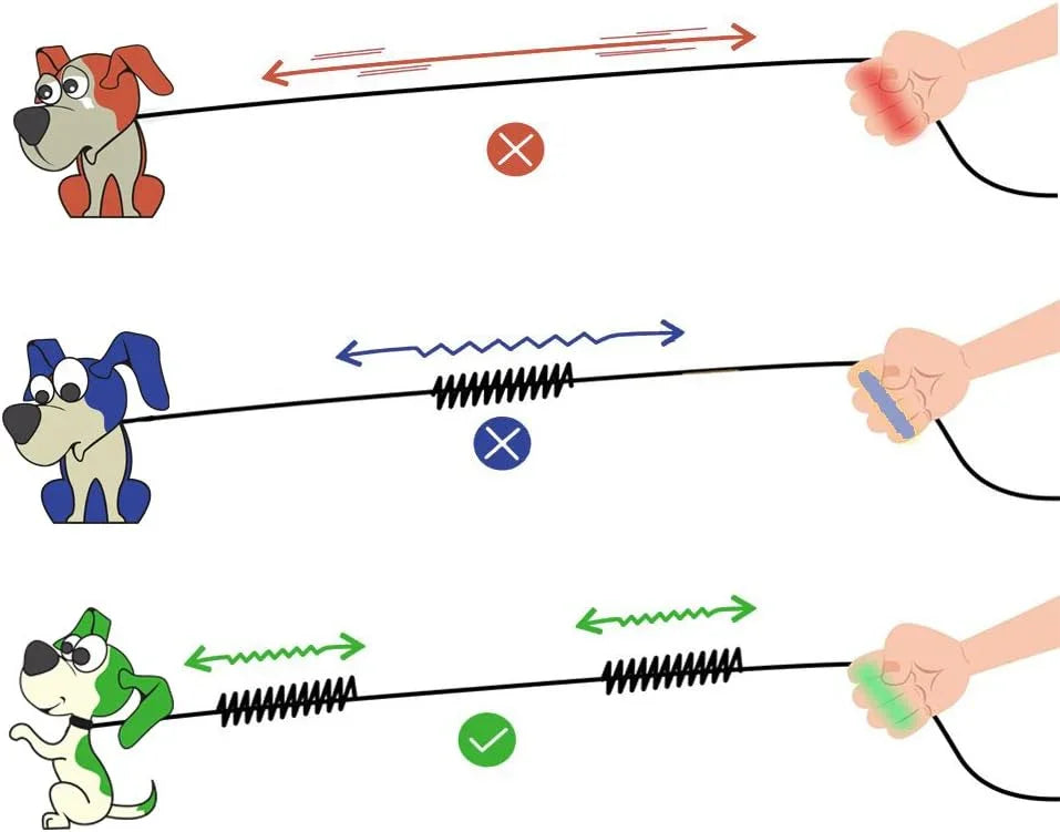 Hands Free Dog Leash, Adjustable Waist Belt and Dual-Handle Retractable Bungee Leash, Jogging Dog Leash with Reflective Stitching, Random Colors - Pet Supermarket