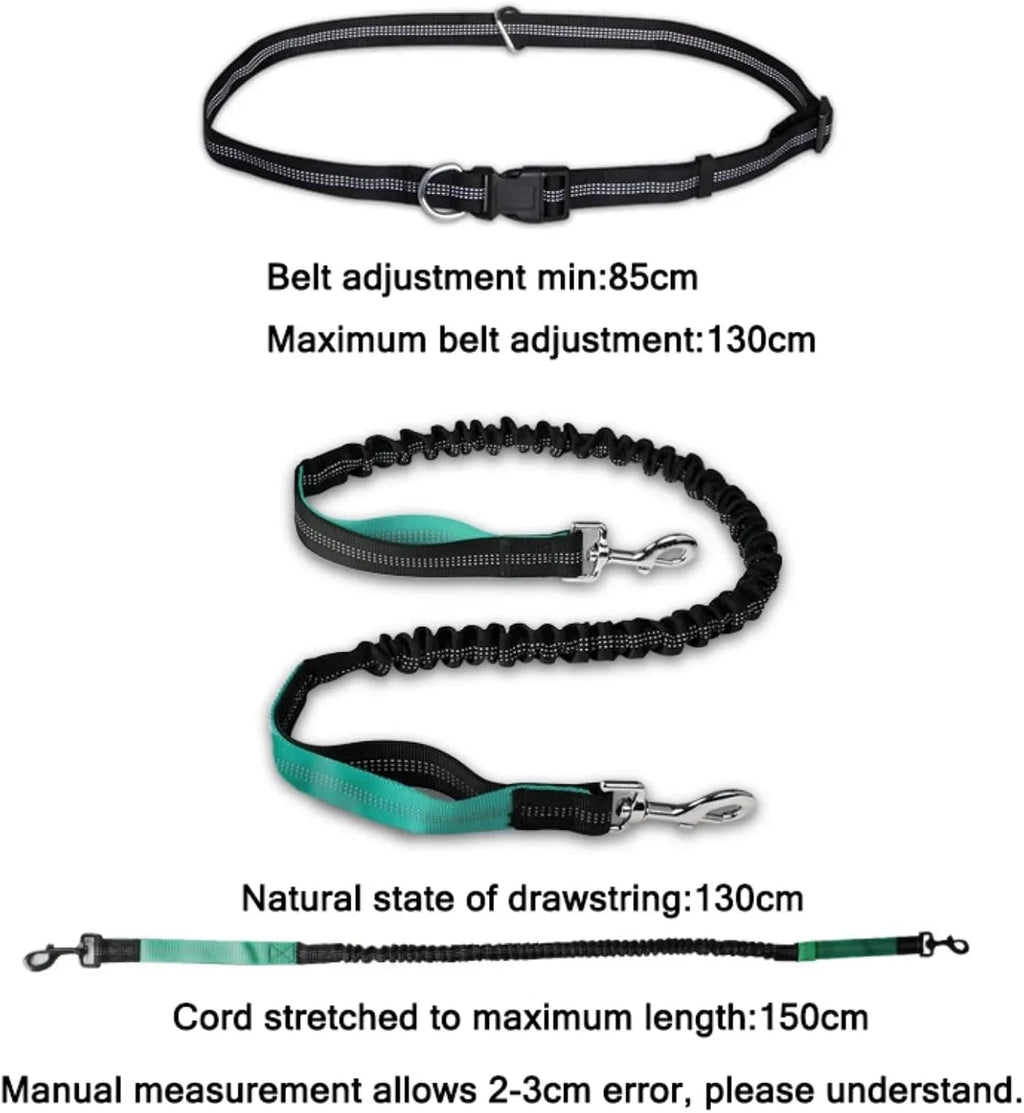 Hands Free Dog Leash, Adjustable Waist Belt and Dual-Handle Retractable Bungee Leash, Jogging Dog Leash with Reflective Stitching, Random Colors - Pet Supermarket