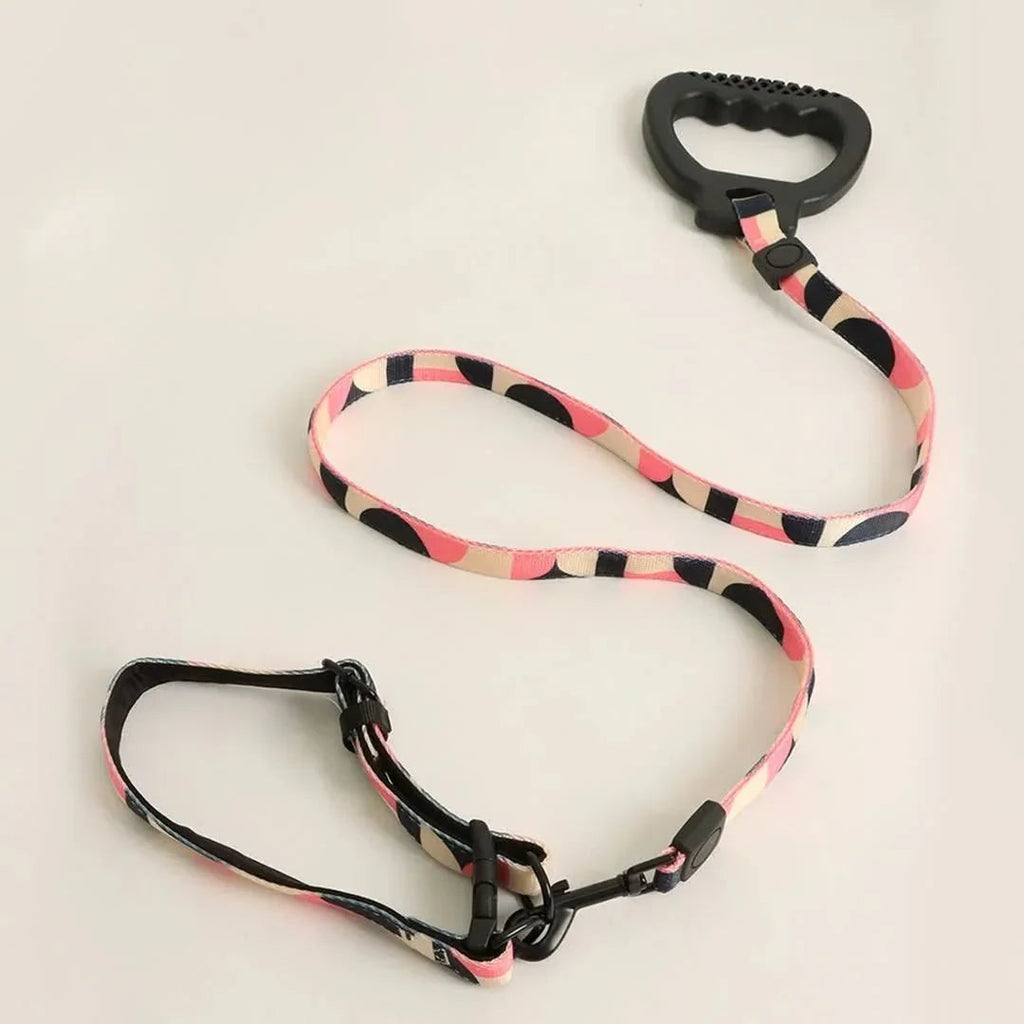 Dog Collar and Leash Set, Dog Collar with Safety Locking Buckle, Nylon Pet Training Leash with Comfortable Handle, Medium Large Dogs - Pet Supermarket