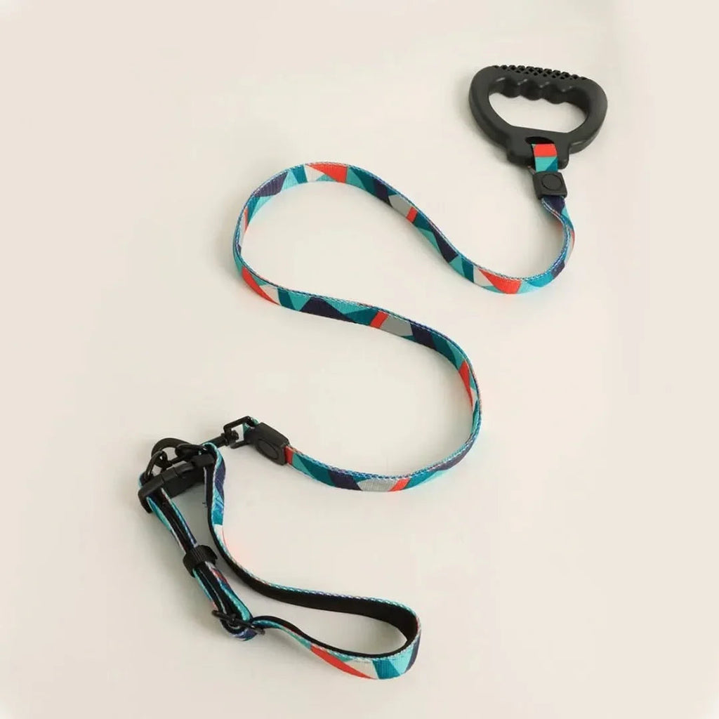 Dog Collar and Leash Set, Dog Collar with Safety Locking Buckle, Nylon Pet Training Leash with Comfortable Handle, Medium Large Dogs - Pet Supermarket