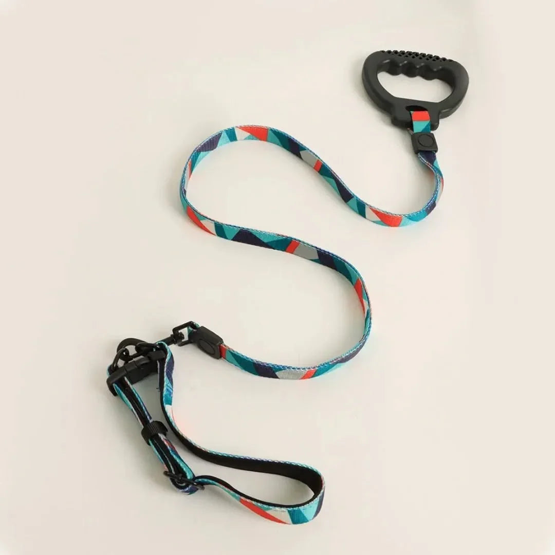 Dog Collar and Leash Set, Dog Collar with Safety Locking Buckle, Nylon Pet Training Leash with Comfortable Handle, Medium Large Dogs - Pet Supermarket