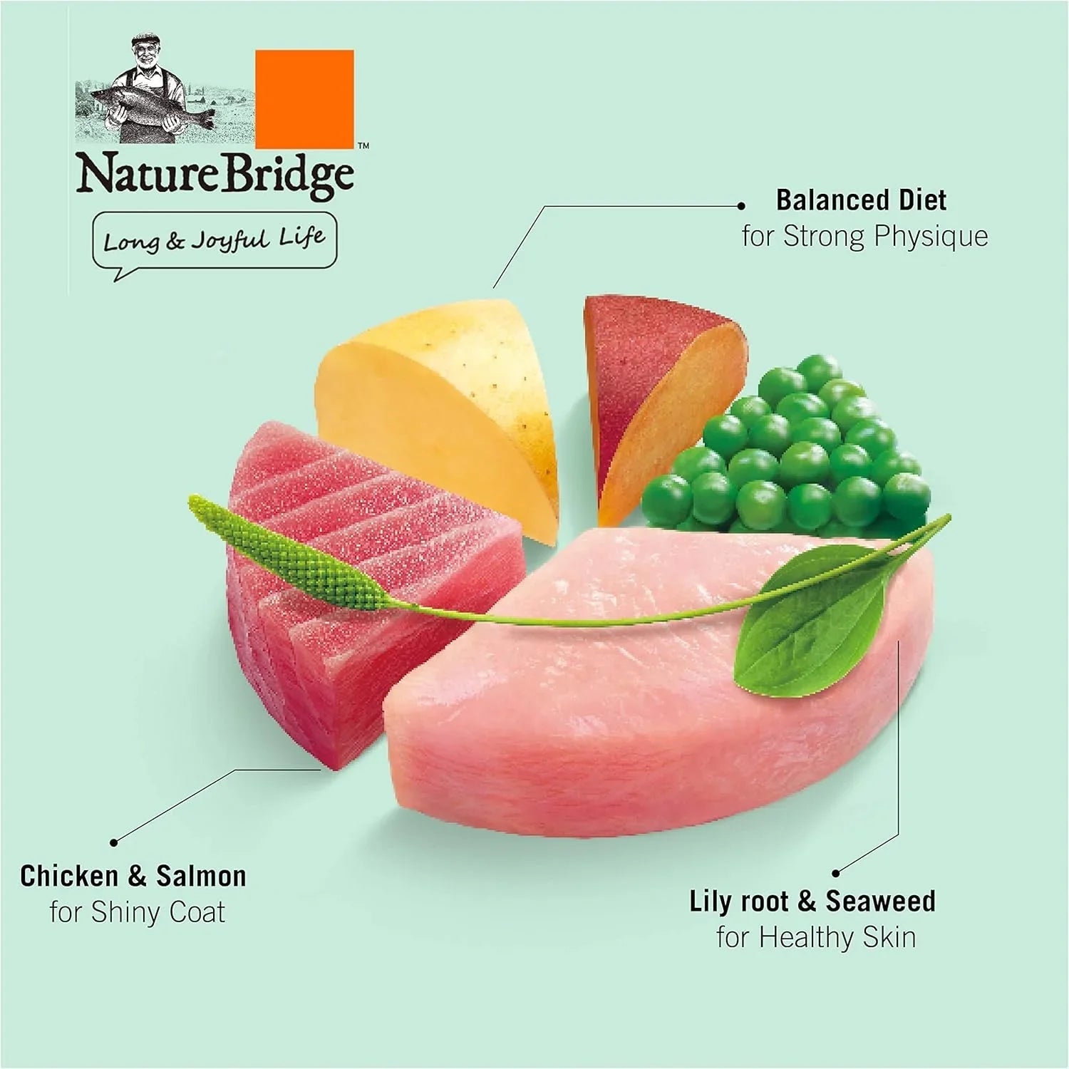 Nature Bridge Classic Beauty Complete Cat Food 1.5kg - Pet Supermarket