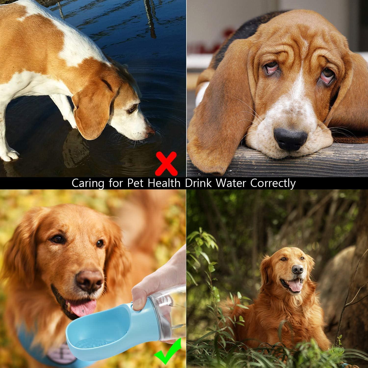 Portable Dog Water Bottle, Leak Proof Dog Water Dispenser, 350ml /12oz Pet Travel Water Bottle for Pets Outdoor Walking, Hiking, Travel, Food Grade Plastic - Pet Supermarket