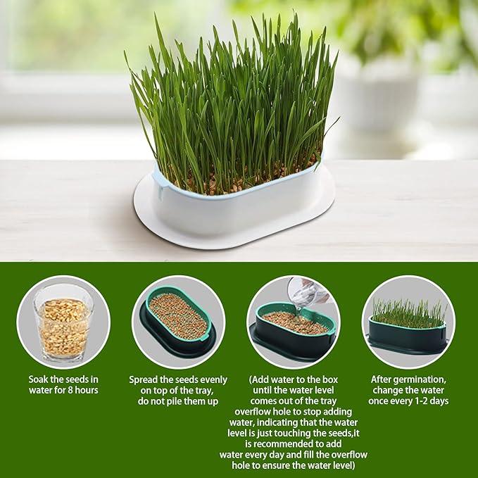 Hydroponic Grass Tray Cat Grass Germination Tray, Seed Tray Germination Tray, Seed Sprouter Tray, Planter Hydroponics Seed Sprouter, Soil-Free Seed Sprouter