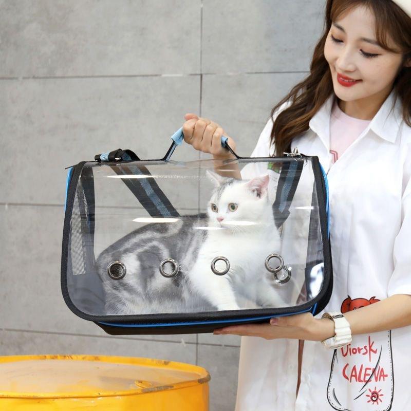 Transparent Cat Bag Net Red New Go Out Portable Folding Pet Bag Hand-held Messenger Breathable and Comfortable Cat Bag