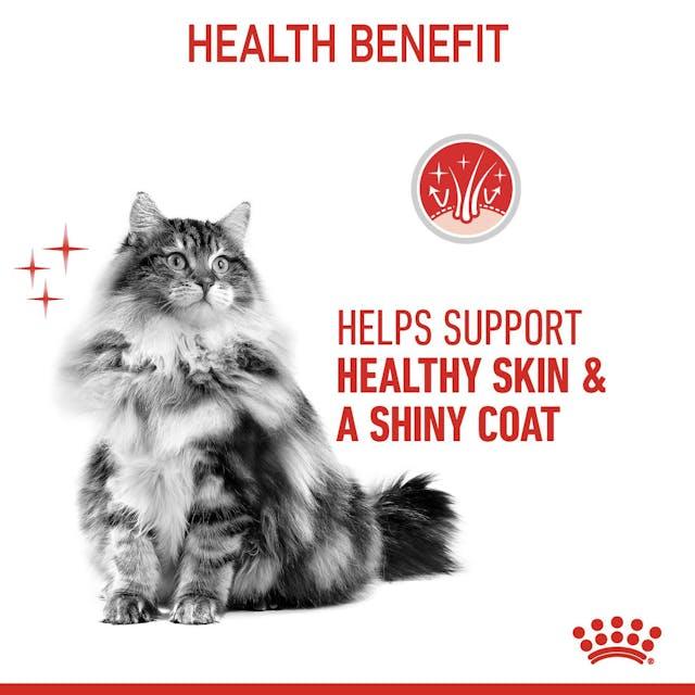 Royal Canin Hair & Skin Care Dry Cat Food 2kg