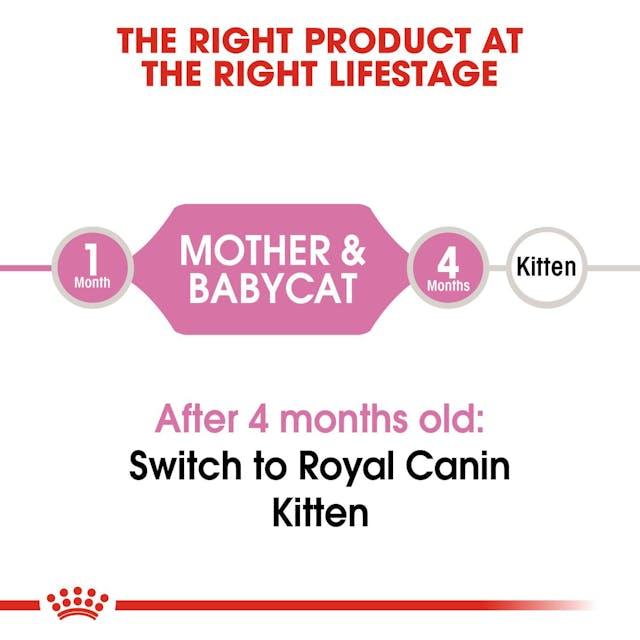 Royal Canin Mother And Baby Cat Dry Cat Food 2kg