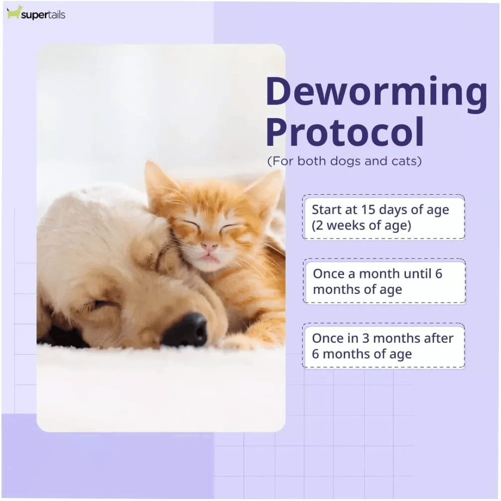 Kiwof Cat Deworming Tablets - Dewormer For cats ( 1 Tablet )