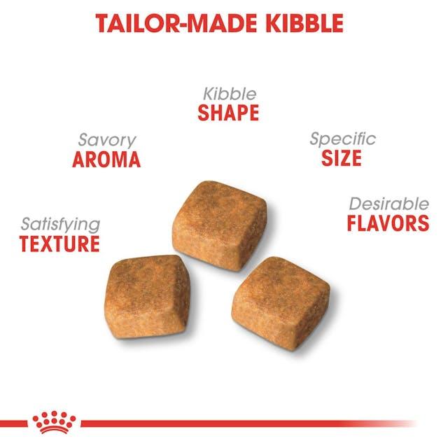 Royal Canin Persian Kitten Dry Cat Food (2KG) Up to 12 months