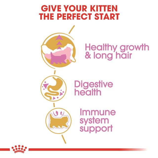 Royal Canin Persian Kitten Dry Cat Food (2KG) Up to 12 months