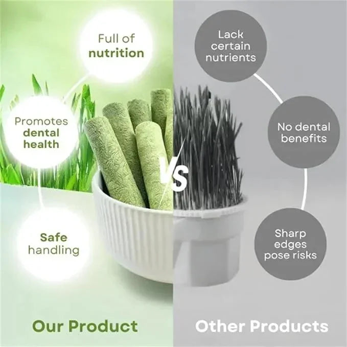 16pcs Cat Grass Teething Stick Jar set with Chicken Flavor, Cat Kittens Hairball Removal, Natural Dried Cat Grass for Cat Dental Care  (120g) - Pet Supermarket