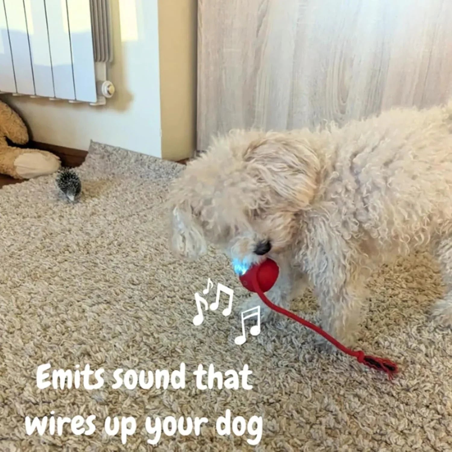 Cat Interactive Ball Cat Toy, Automatic Rolling Ball with Tail, Rechargeable Smart Pet Interactive Toy, Intelligent cat and mouse gam, No Warranty - Pet Supermarket