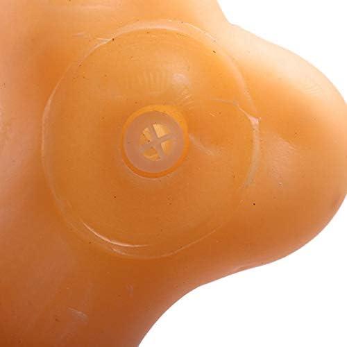 Bite Resistant Dog Puppy Morbones Rubber Ball Teeth Heat Training Plastic Rubber Pet Dog Toys - Pet Supermarket