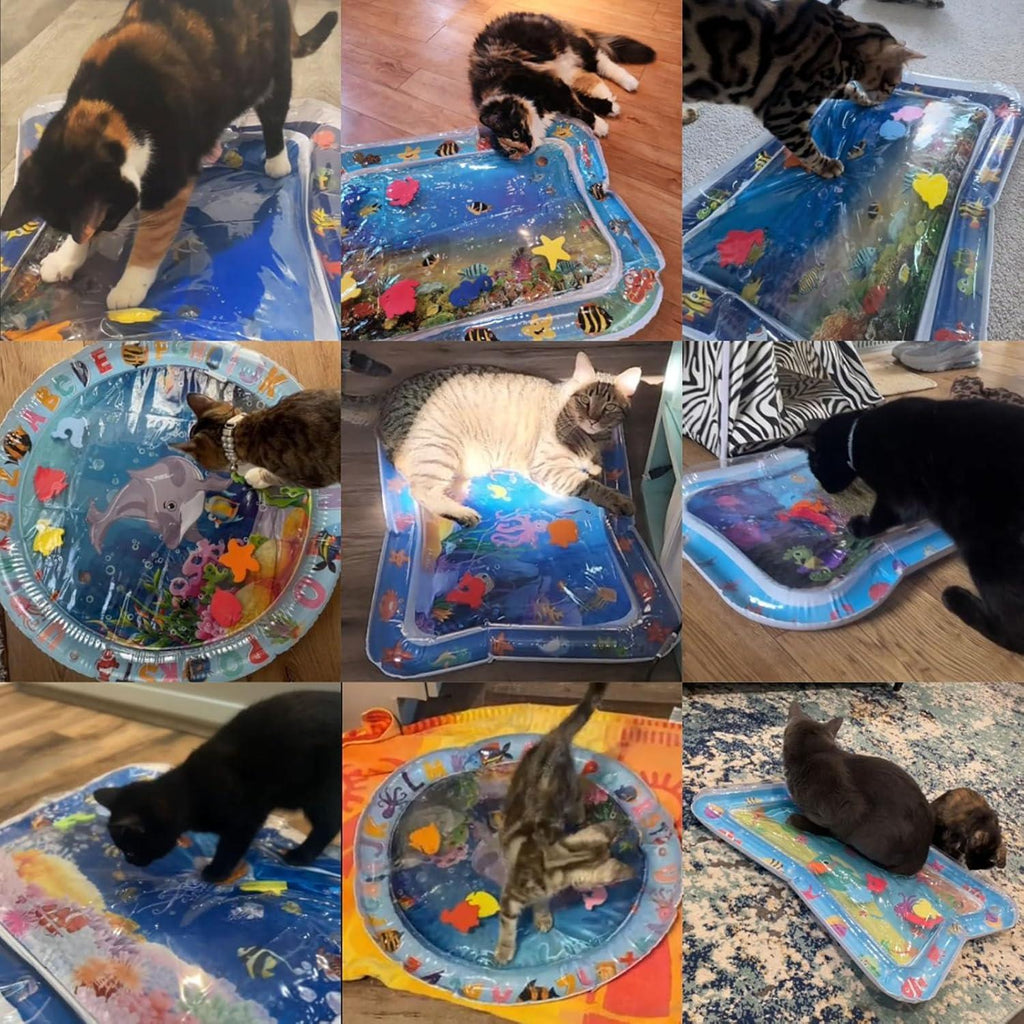 Cat Water Bed | Water Bed for Cats | Cat Sensory Water Mat | Pet Water Sensory Mat | Water Sensory Mat Cat | Dog Water Play Mat | Tummy Time Water Mat with Fish Cat Activity Play Mat - Pet Supermarket
