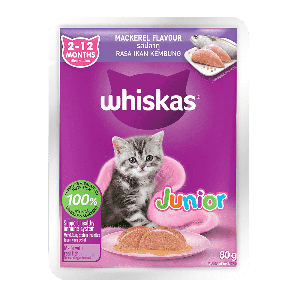 whiskas_pouch_jr_mackerel-80g_helloPetsBD