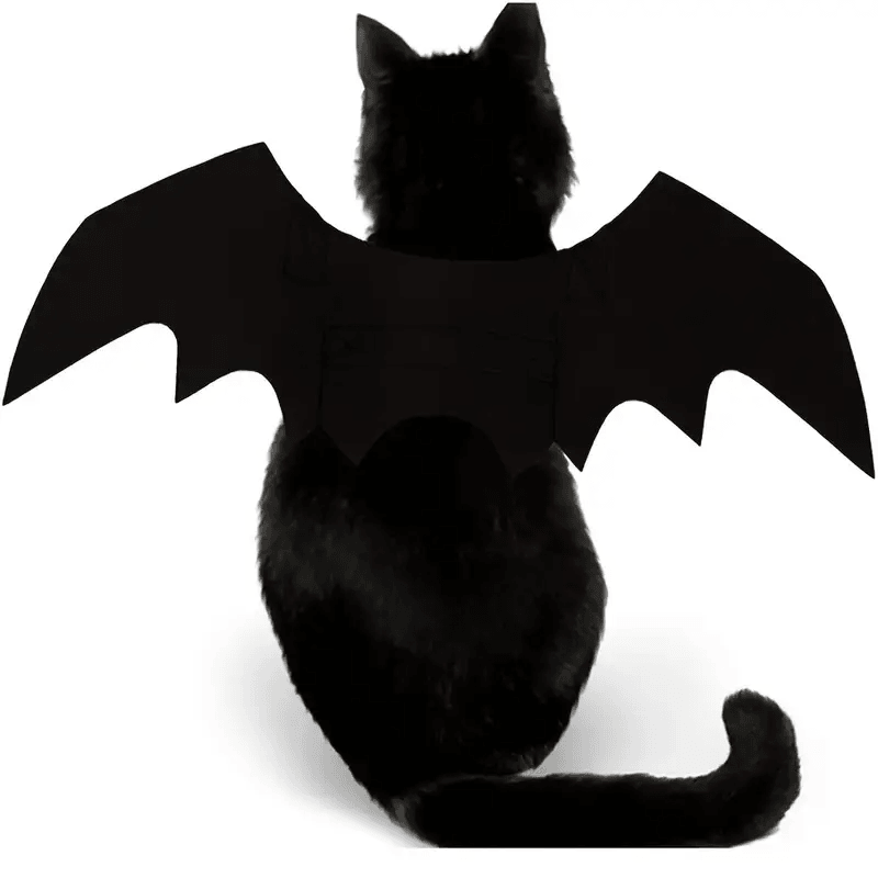 Bat Cat Wings Costume, Small, Black Felt, for Dogs & Cats, Halloween Pet Apparel Bat Wings, Straps for Easy Fit - Pet Supermarket