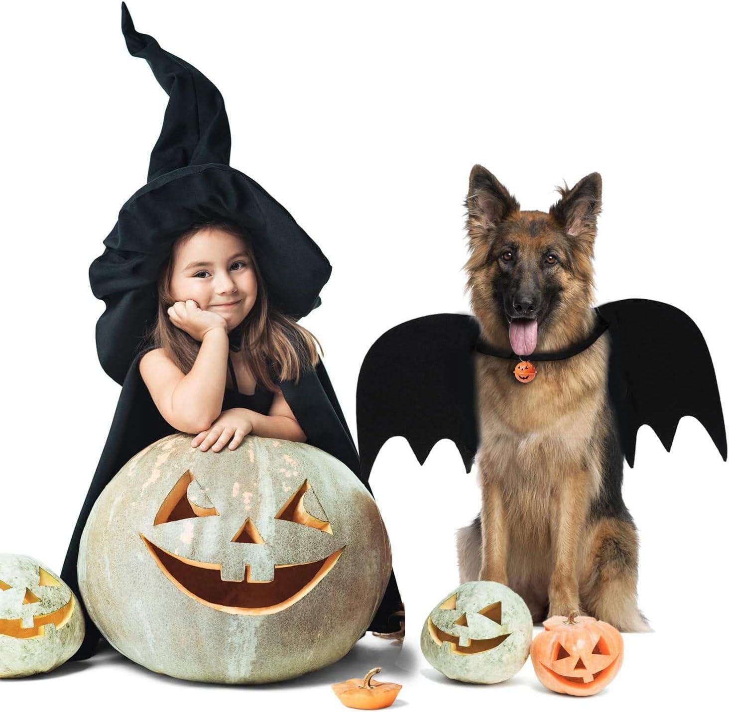 Bat Cat Wings Costume, Small, Black Felt, for Dogs & Cats, Halloween Pet Apparel Bat Wings, Straps for Easy Fit - Pet Supermarket