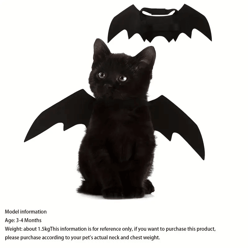 Bat Cat Wings Costume, Small, Black Felt, for Dogs & Cats, Halloween Pet Apparel Bat Wings, Straps for Easy Fit - Pet Supermarket