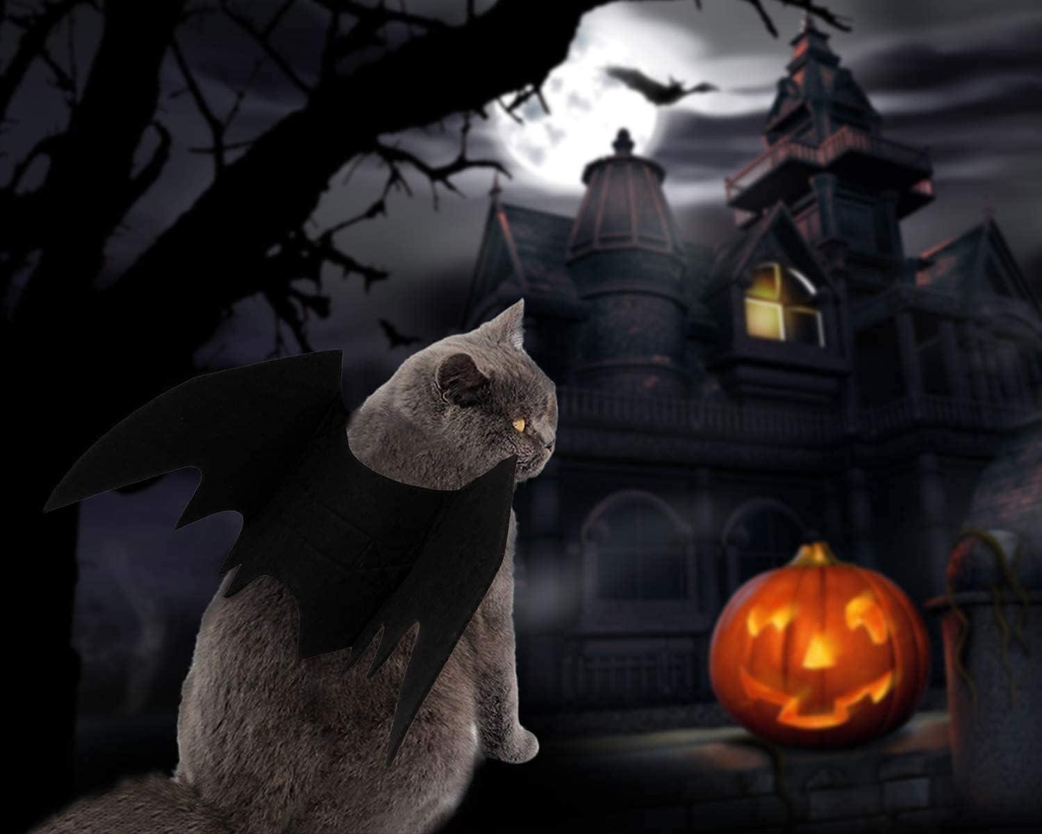 Bat Cat Wings Costume, Small, Black Felt, for Dogs & Cats, Halloween Pet Apparel Bat Wings, Straps for Easy Fit - Pet Supermarket